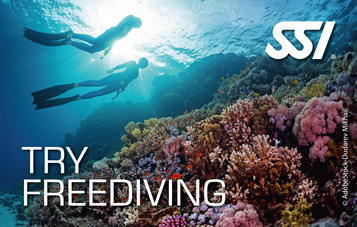 Try Freediving at El Mar Diving Center