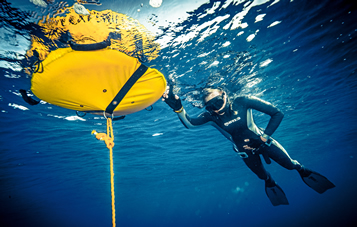 Adventure SCUBA Travel to San Carlos Freediving Trip, Yellowtail Open with El Mar Diving Center