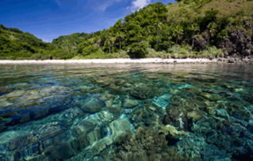 Adventure SCUBA Travel to Philippines with El Mar Diving Center